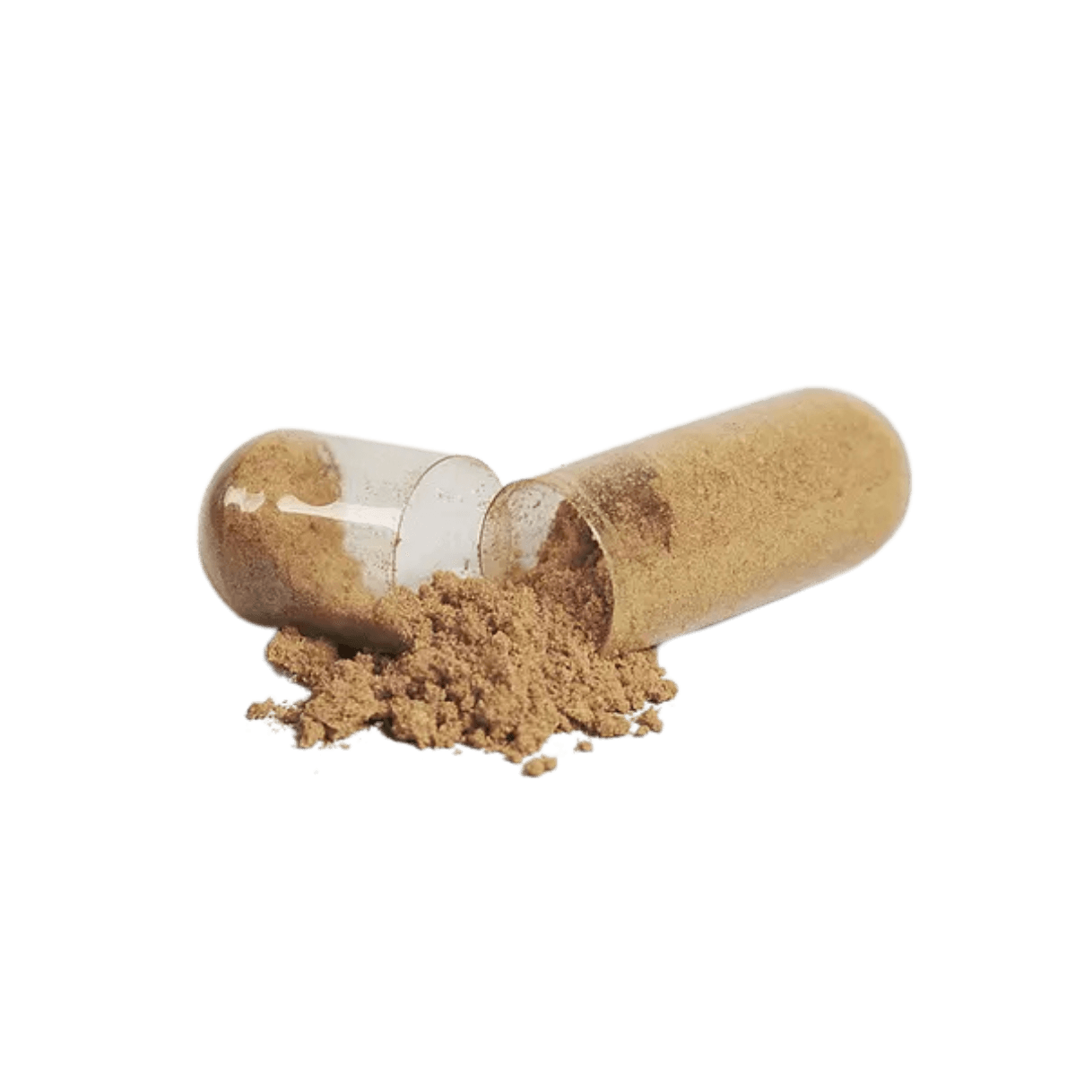 Plant-Based Digestive Support