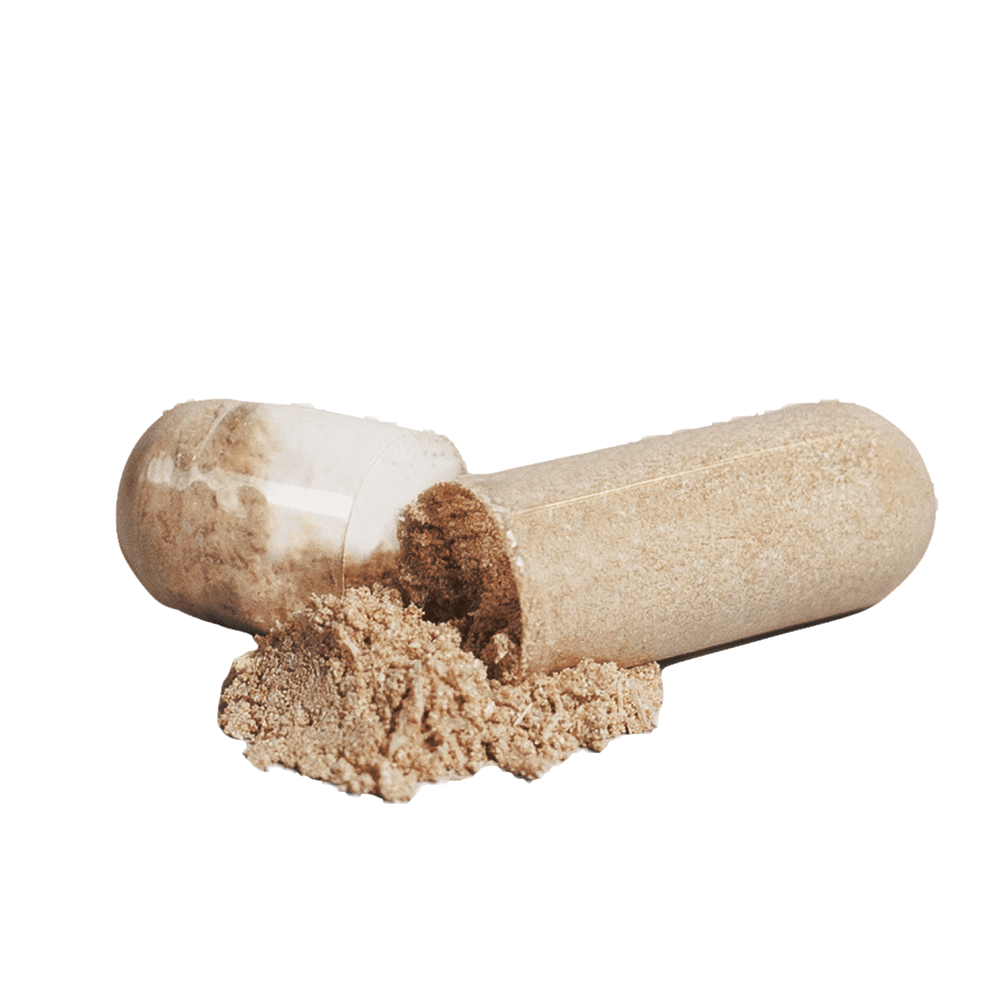 Maca + Adaptogen Complex